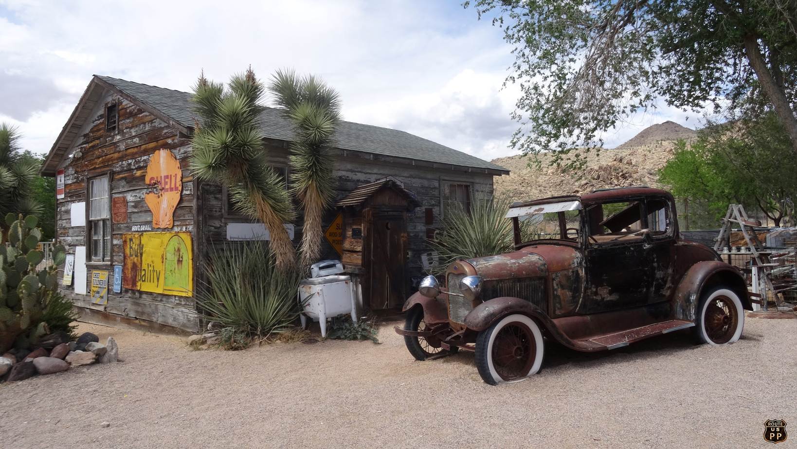 hackberry7 final.jpg