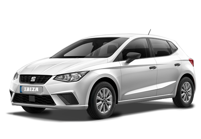 Paysage traditionnel du Sud tunisien