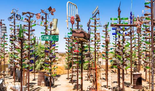 Road 66 : Bottle Tree Ranch | Wild Birds Collective