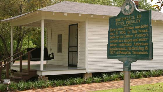 5 choses que vous ne saviez pas à propos d'Elvis Presley - Catawiki