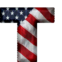 t.png